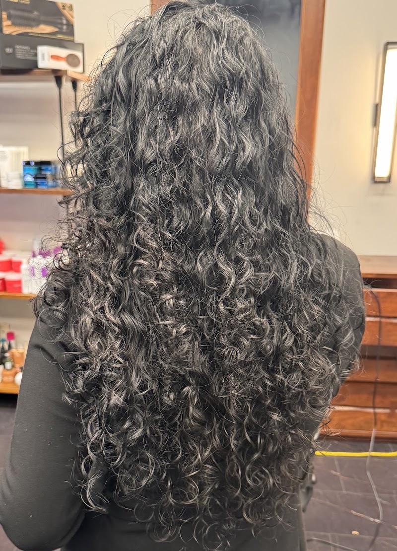 The Mayer Salon 88